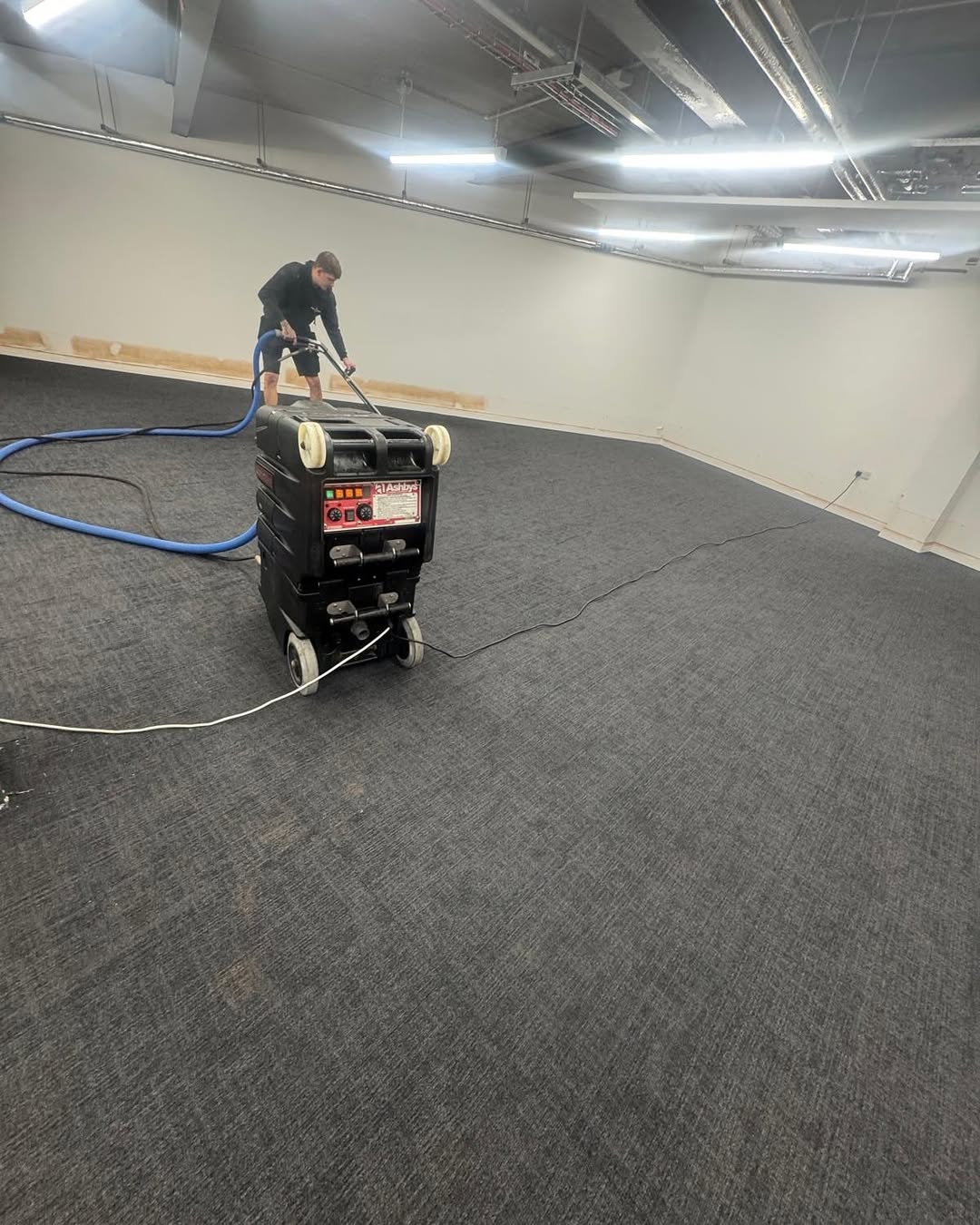 Commercial carpet cleaning