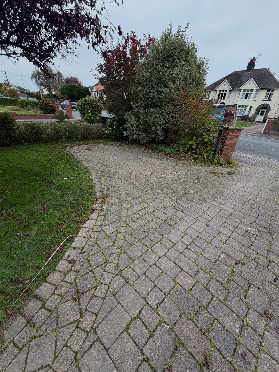 Mossy front driveway