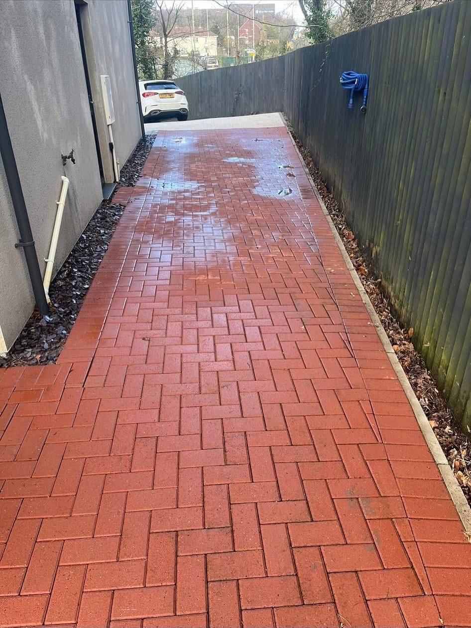 Cleaned patio path