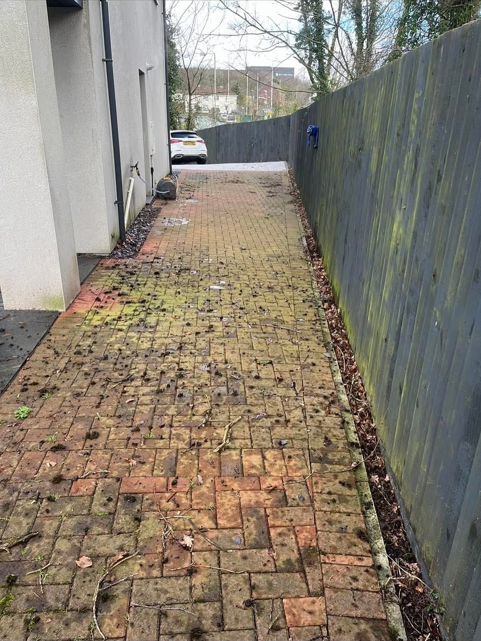 Mossy block paving path