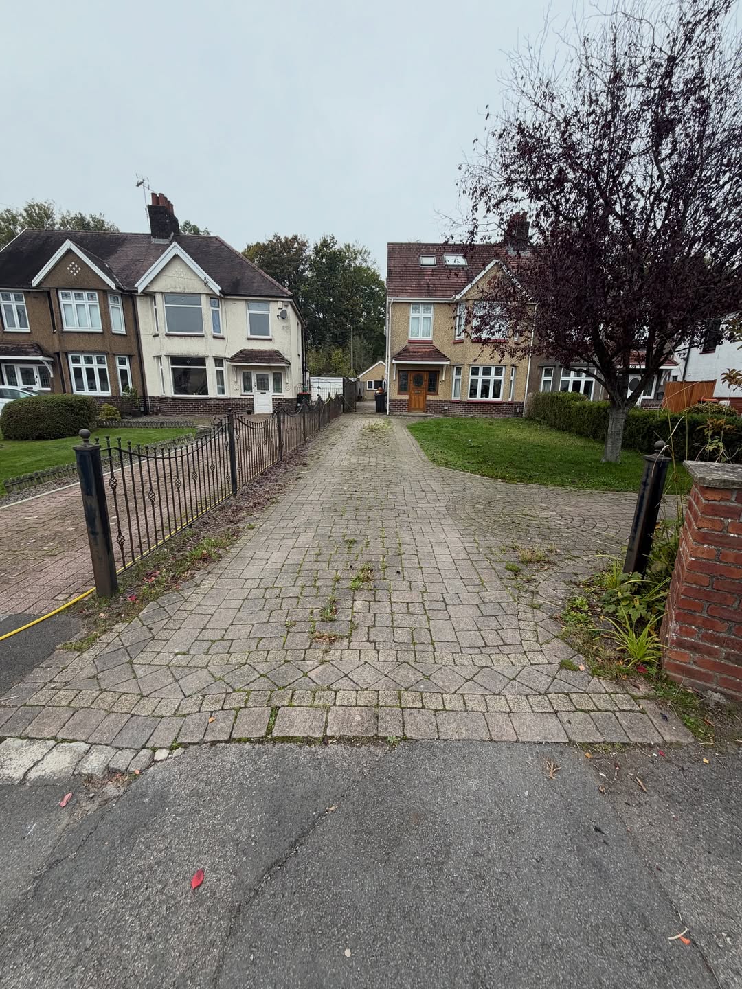 Weedy driveway