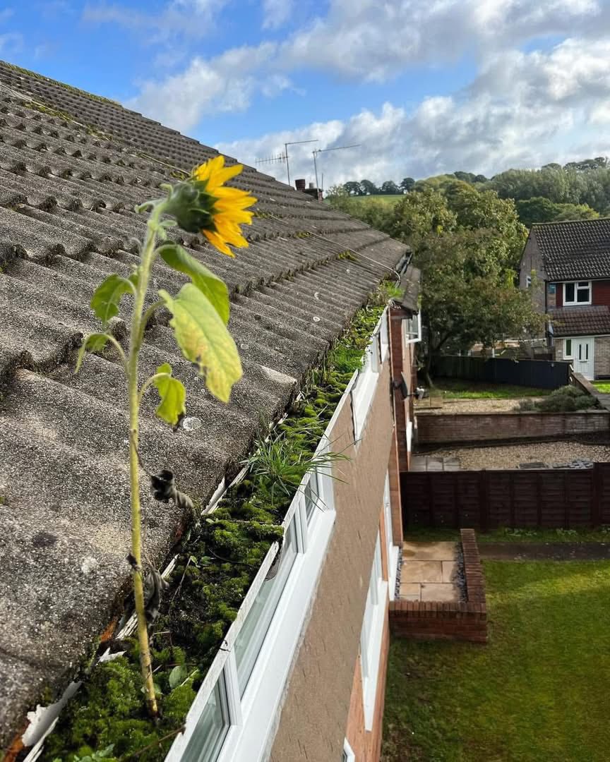 Gutter Cleaning service in South Wales — PB Cleaning Solutions