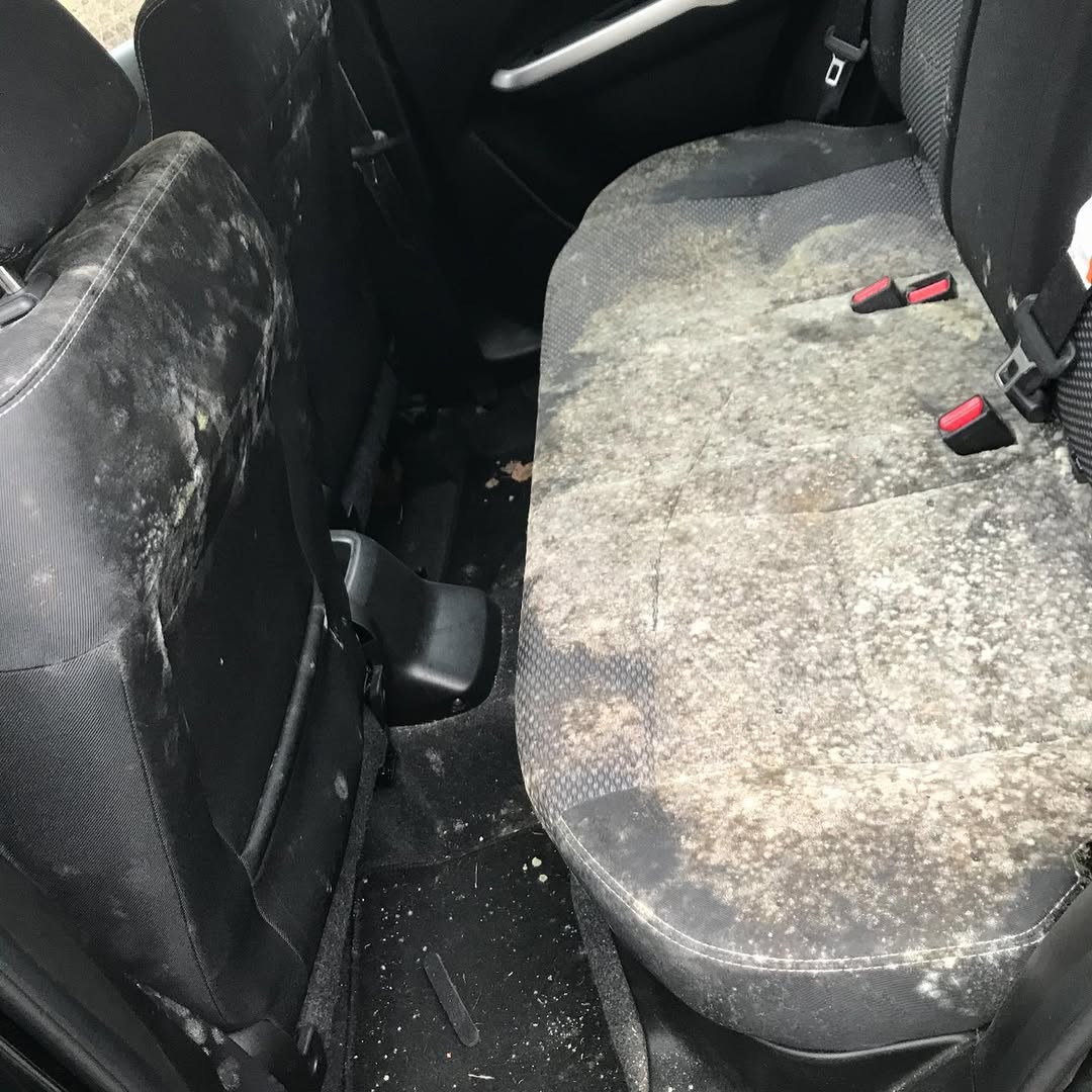Dirty car back seats