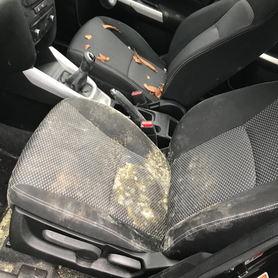 Dirty car front seats
