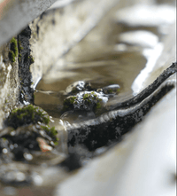 “Professional window cleaning service in Newport South Wales | {{product_title}} | {{store_name}}”